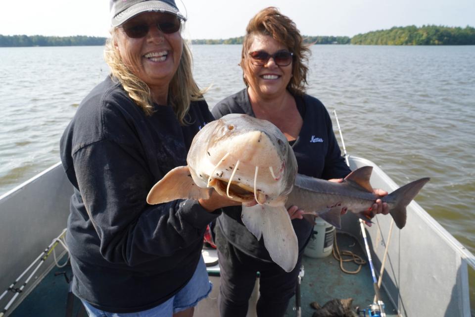 Roxanne Komanec of Bloomer (left) and Tracy Schwarz of Cameron hold a 55-inch lake sturgeon caught and released on Lake Holcombe in Chippewa County.