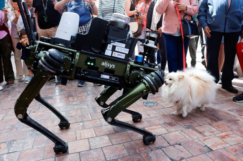 Presentation of a police robot dog in Malaga