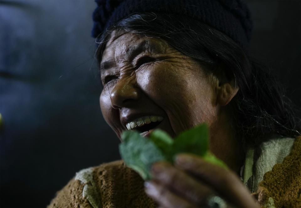 A coca vendor works at a legal coca leaf market in La Paz, Bolivia, Thursday, April 18, 2024. Bolivia’s government has revived a years-long battle to get the U.N. to decriminalize the coca leaf, an effort to win global recognition for its Indigenous traditions and expand its local market of coca-related products. (AP Photo/Juan Karita)