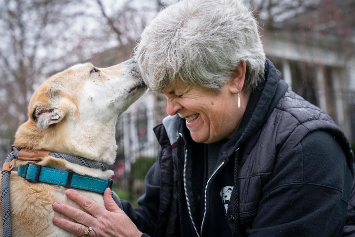 Cody, a male Canaan dog rescued from the West Bank, gets some love from Janet Austin, of Lake Orion, Mich., a volunteer at Detroit Animal Welfare Group (DAWG) in Romeo, Mich. on Friday, April 12, 2024. Currently, they are working with eight rescue dogs brought to them from the West Bank.