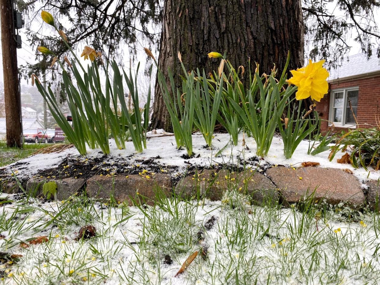 Snow and sleet falls April 18, 2022 in Staunton.