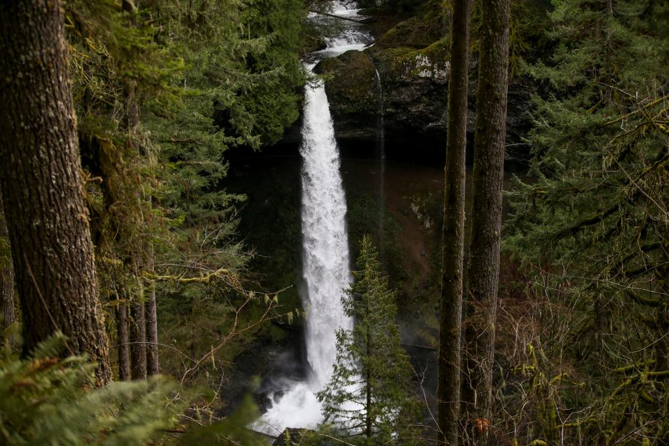 A new trail leads to a viewpoint of the North Falls at Silver Falls State Park.