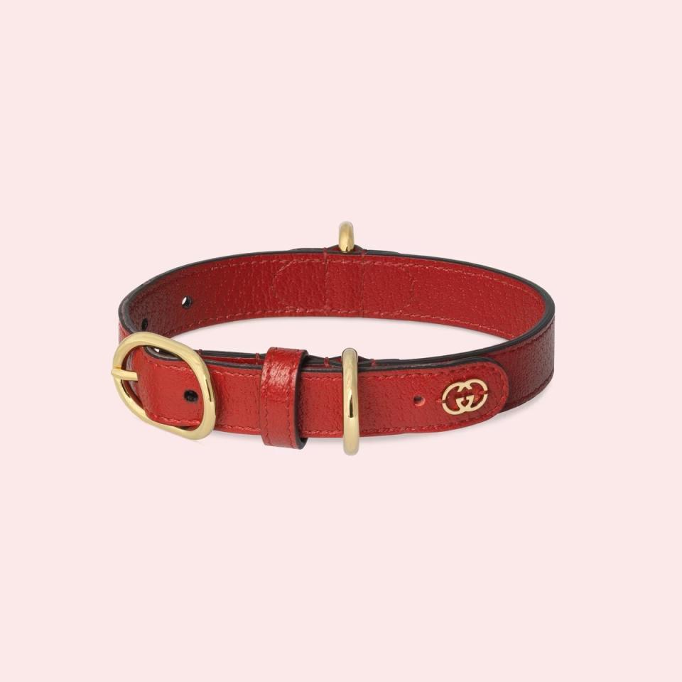 Gucci Small/Medium Pet Collar