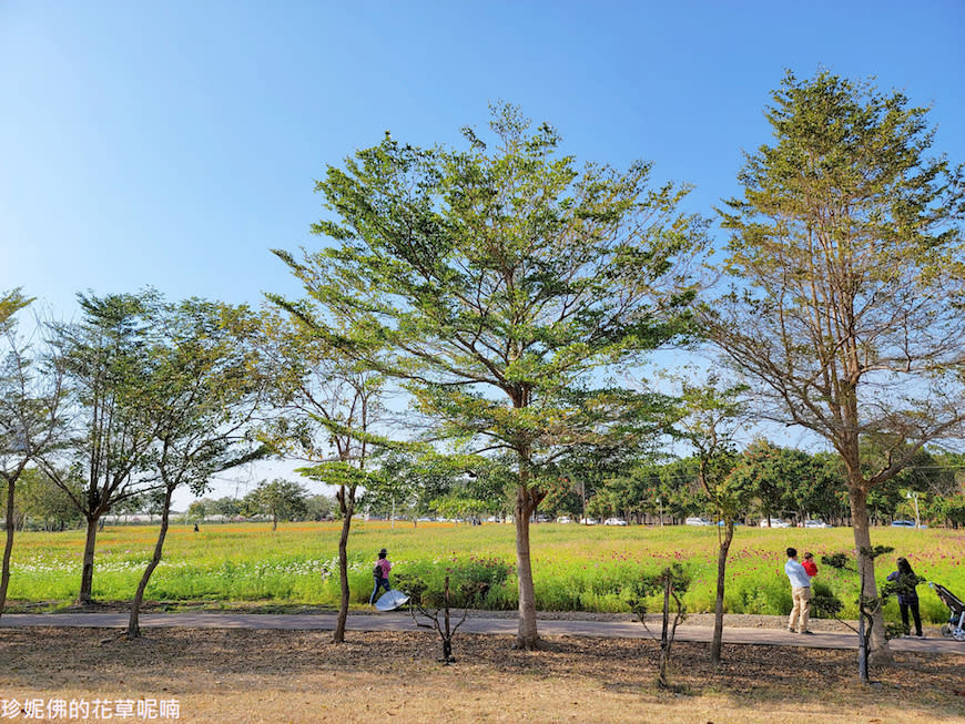 屏東｜新埤鄉綜合休閒公園