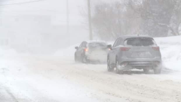 A severe winter storm is set to roll through Newfoundland and southern Labrador Tuesday. (Colleen Connors/CBC - image credit)