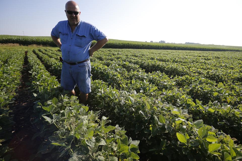 Soybean farmer Illinois