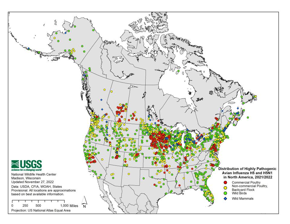 Distribution of Highly Pathogenic Avian Influenza since 2021