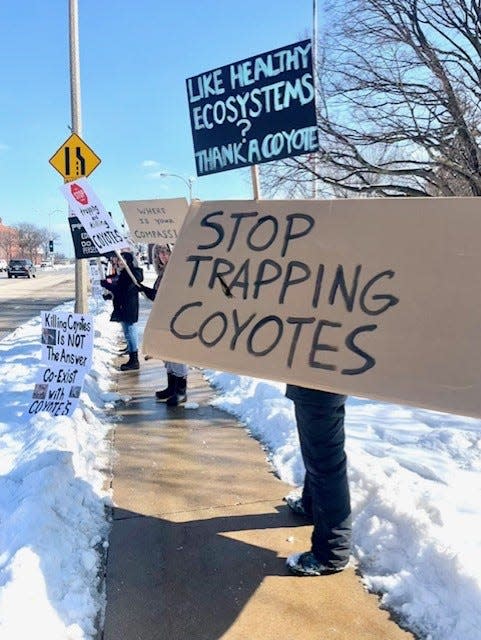 Advocates from Wauwatosa and nearby communities protested against Wauwatosa's Coyote Nuisance Management and Response Plan Policy in front of the city's library on Feb. 25. "I was extremely happy with the turnout," said Megan Scott, Tosa resident and local animal advocate.