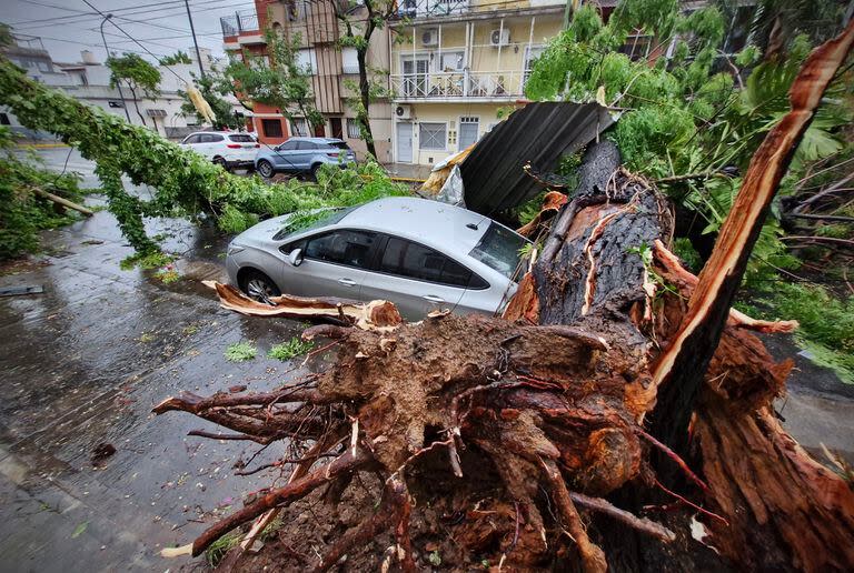 Momentos después del feroz temporal que se registró en la madrugada del domingo en la ciudad