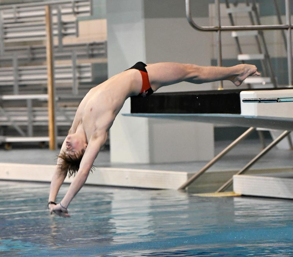 Anderson's Noah Horwitz is The Enquirer's Division I boys diver of the year.