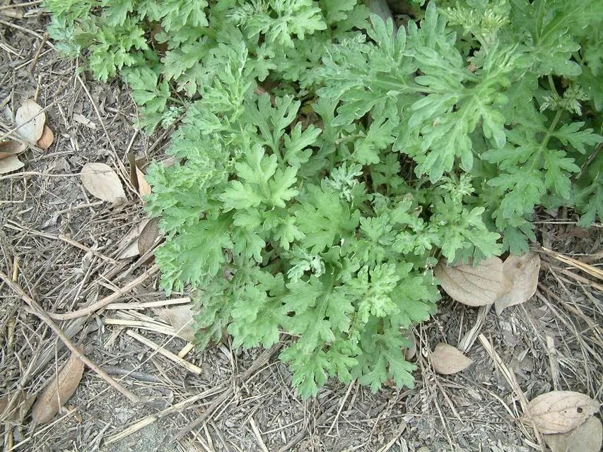 &#x004e0d;&#x0053ea;&#x007528;&#x004f86;&#x007aef;&#x005348;&#x00907f;&#x0090aa;&#x00ff01;&#x00827e;&#x008349;&#x00751f;&#x006d3b;&#x007528;&#x009014;&#x0066dd;&#x005149;&#x003000;&#x00300c;&#x00716e;&#x0098ef;&#x003001;&#x009a45;&#x00868a;&#x00300d;&#x0090fd;&#x00597d;&#x007528;