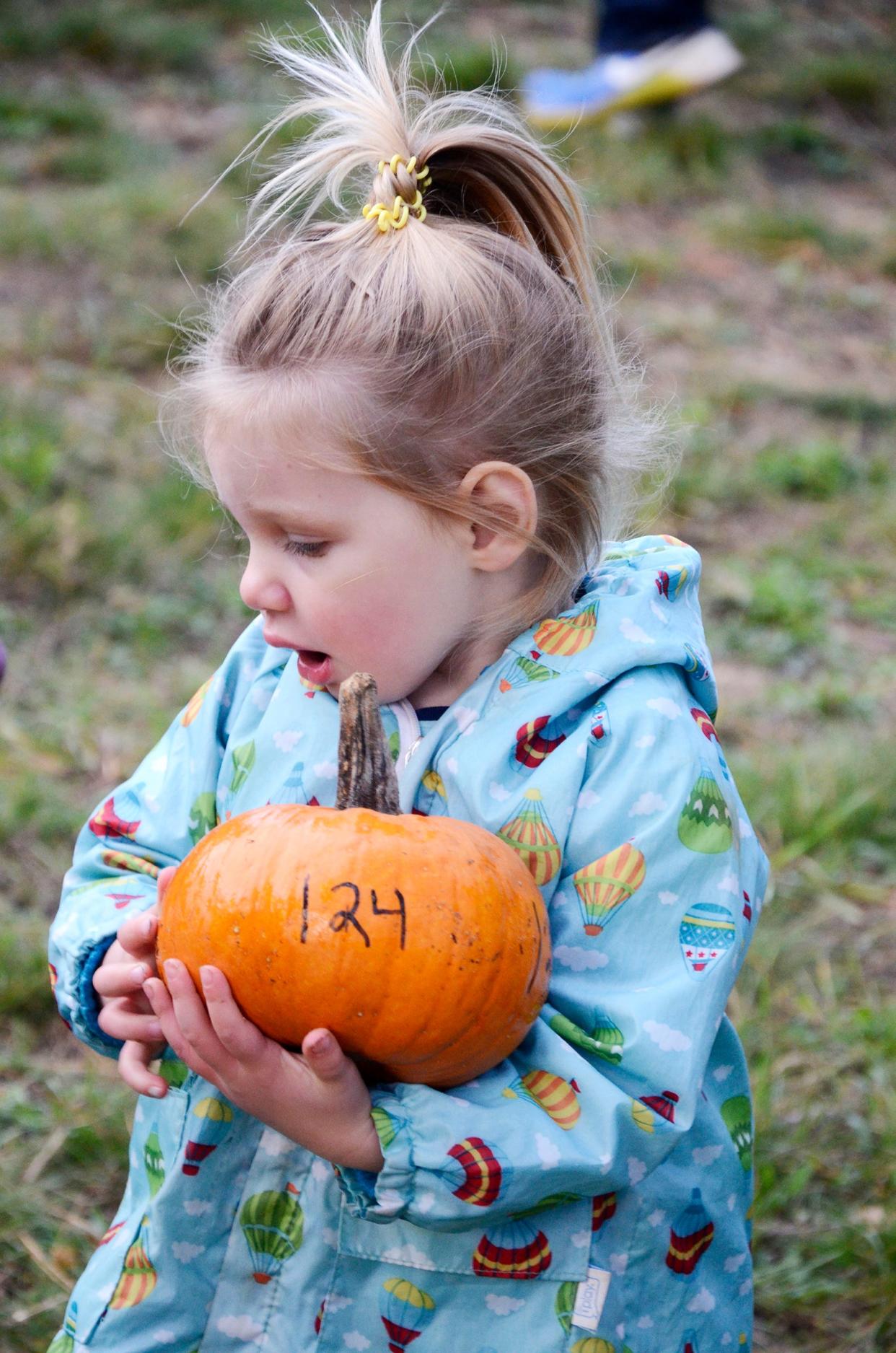 Letti Taylor, 2, from Boyne City picks out the perfect pumpkin to take home during the Rotary Club of Petoskey's Fall Fest at the Winter Sports Park in 2021.