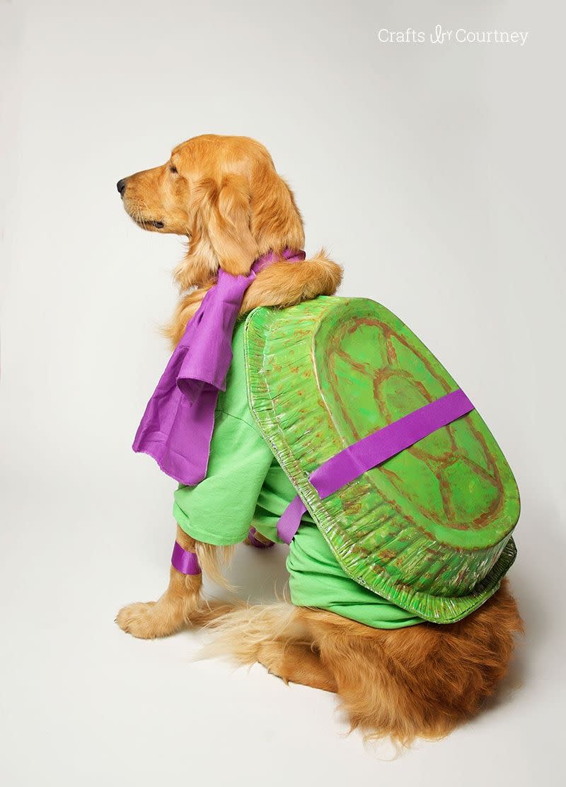 Teenage Mutant Ninja Turtle Dog Costume