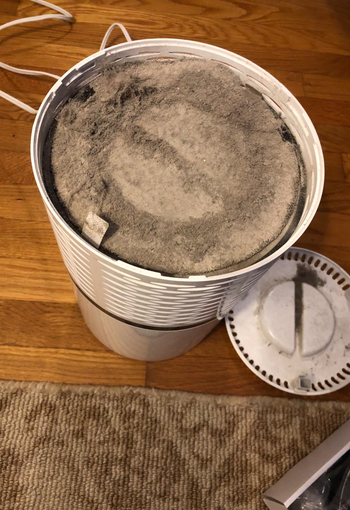 Reviewer photo of the air purifier's filter showing how much dust and debris it's caught