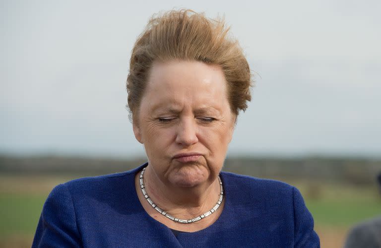 Un retrato de Merkel en 2019 