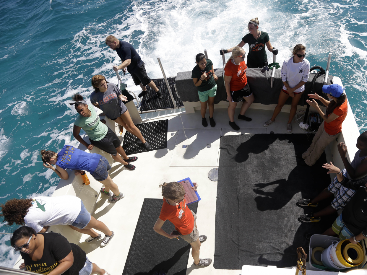 Shark-tagging-research-trip