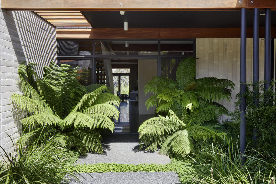 A front door surrounded by tropical shrubbery