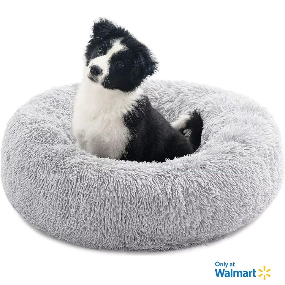 <p><a href="https://go.redirectingat.com?id=74968X1596630&url=https%3A%2F%2Fwww.walmart.com%2Fip%2FNisrada-Calming-Donut-Dog-Bed-Small-Large-Dogs-Cat-Puppy-Bed-Anti-Anxiety-Self-Warming-Cozy-Soft-Plush-Round-Pet-Bed-Ideal-Both-Home-Travel-Washable%2F1601423363&sref=https%3A%2F%2F" rel="nofollow noopener" target="_blank" data-ylk="slk:Shop Now;elm:context_link;itc:0;sec:content-canvas" class="link ">Shop Now</a></p><p>Calming Donut Dog Bed</p><p>walmart.com</p><p>$12.99</p>