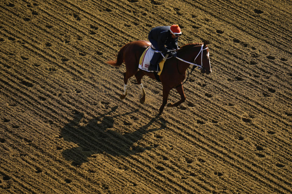 Kentucky Derby winner Mage works out ahead of the 148th running of the Preakness Stakes horse race at Pimlico Race Course, Thursday, May 18, 2023, in Baltimore. (AP Photo/Julio Cortez)