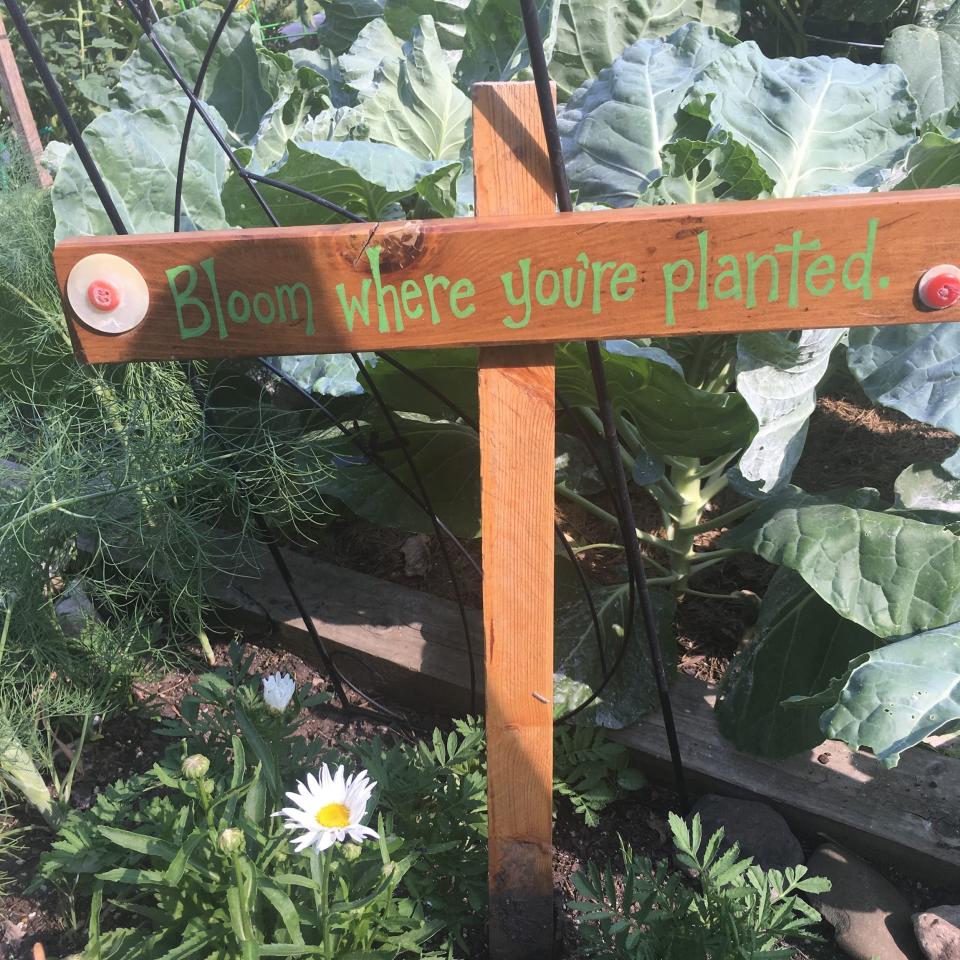 This sign in Joan Van Hulzen’s garden has a message for plants and people.