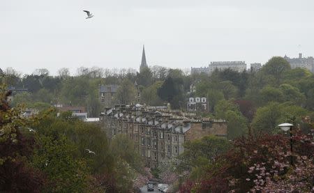 A bird flies over homes in the Morningside suburb of Edinburgh, Scotland May 1, 2014. REUTERS/Suzanne Plunkett