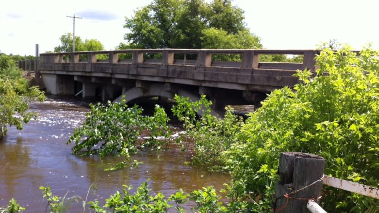 This bridge on Highway 257 near Virden, Man., has been closed due to concerns it is unsafe -- a situation echoed in various other rural areas.