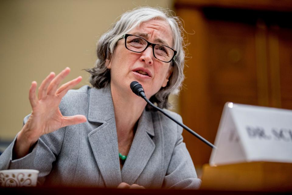 Anne Schuchat of the CDC speaks before a House Oversight subcommittee hearing on lung disease and e-cigarettes in Washington on Sept. 24.