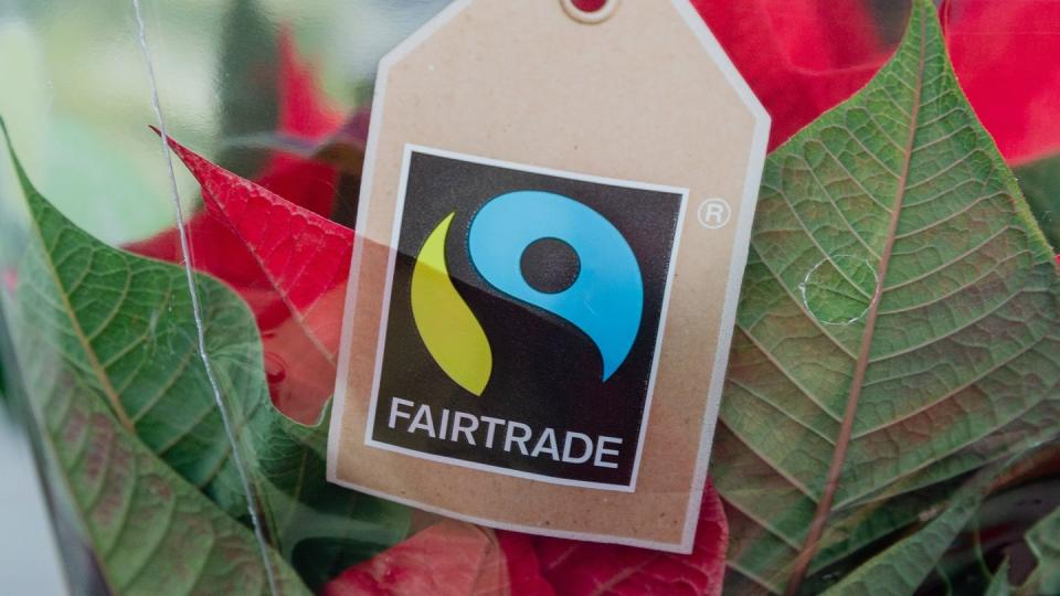 Auch in manchen Blumengeschäften können Kunden auf das Fairtrade-Zeichen achten.