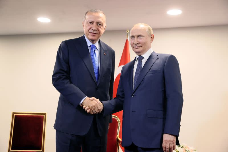 Russian President Putin and Turkish President Erdogan meet in Tehran