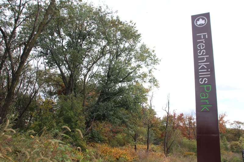 Freshkills park is a to serve as a model for land reuse projects around the world and a shining example of how restoring habitats can benefit wildlife in urban areas, officials say. Christina Horsten/dpa