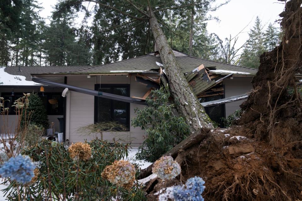 A toppled tree sits on top of a home in Lake Oswego, Oregon (AP)