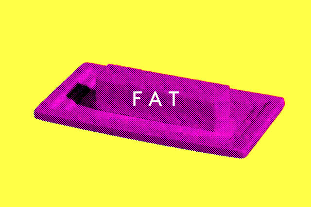 Fat_slide7