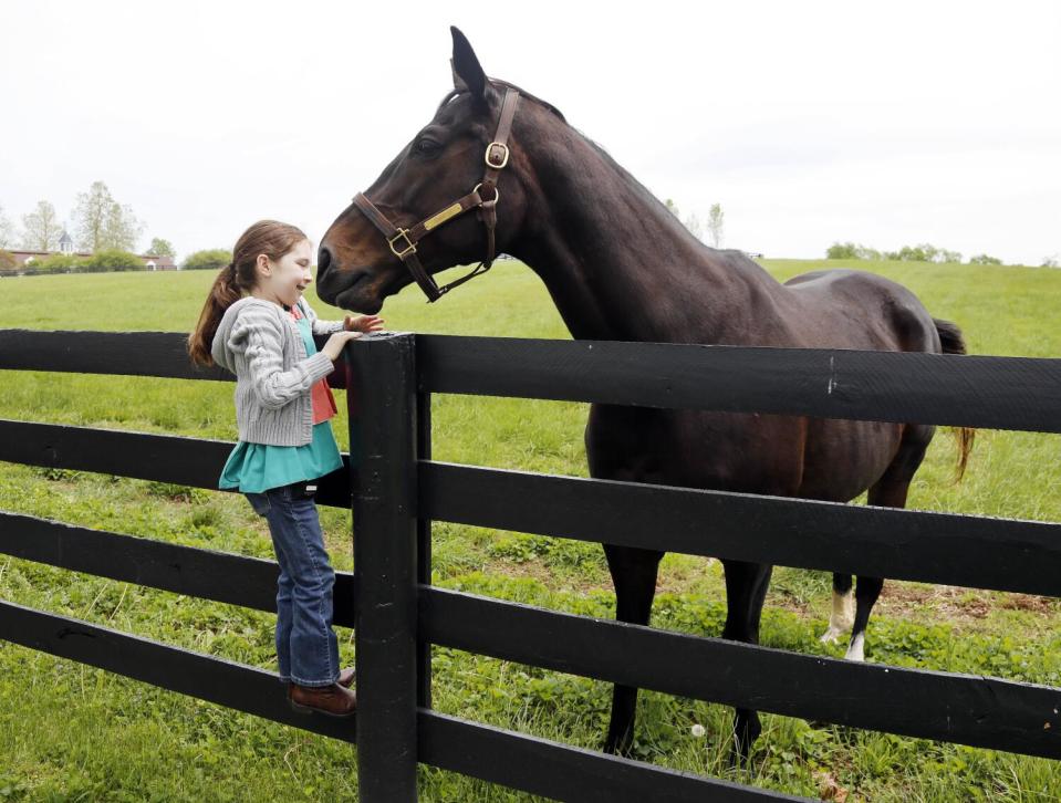 Make-A-Wish kid Tiana Holloway of Huntington Beach feeds Zenyatta a treat at Lane's End Farm.