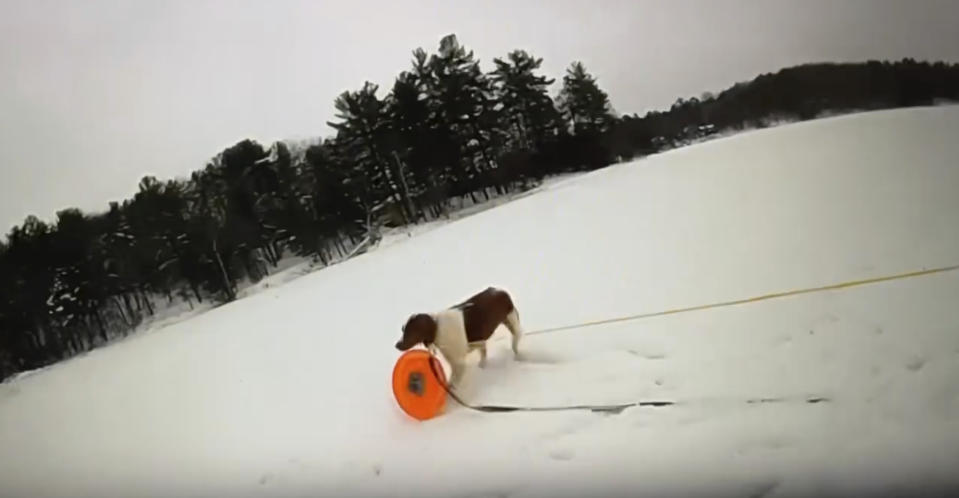 In this image taken from video provided by Michigan State Police, a dog named Ruby grasps a rescue disc tethered to a rope. An MSP motor carrier officer wanted Ruby to take the disc to the dog's owner, who fell through the ice on frozen Arbutus Lake in Grand Traverse County, Mich., Thursday, Jan. 18, 2024. (Michigan State Police via AP)