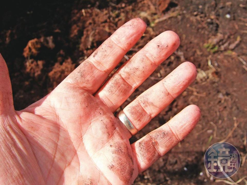 摸到剛開採出來的泥煤，色澤比泥土更深，觸感上具有油脂、黏膩感。