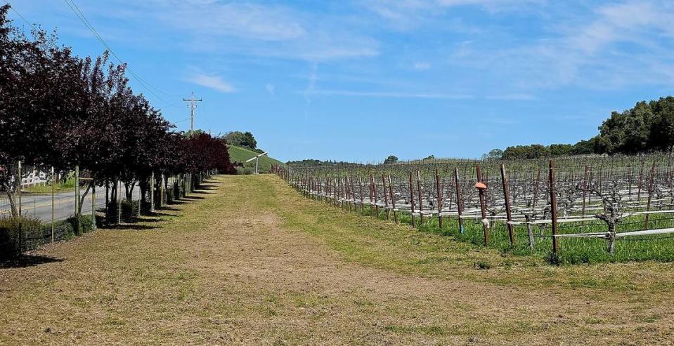 Wind machines like this one installed at Jada Vineyard in Paso Robles have led to conflicts between growers and neighboring residents in San Luis Obispo County’s rural areas.