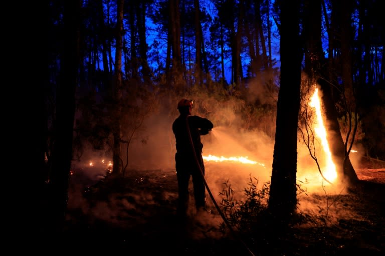 Un pompier s'attaque à un incendie de forêt près de Vidauban, dans le sud de la France, le 11 juin 2024 (Valery HACHE)