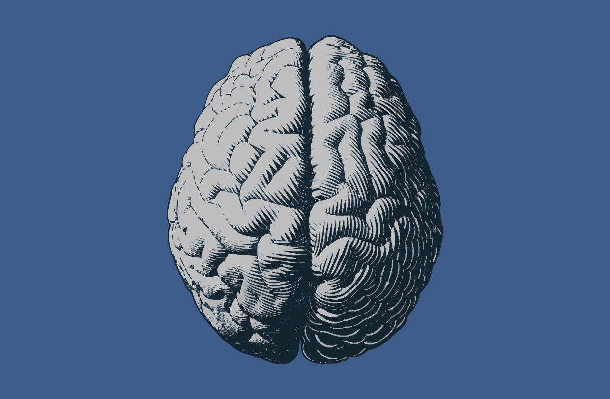 Monochrome gray engraving brain illustration in top view isolated on blue background