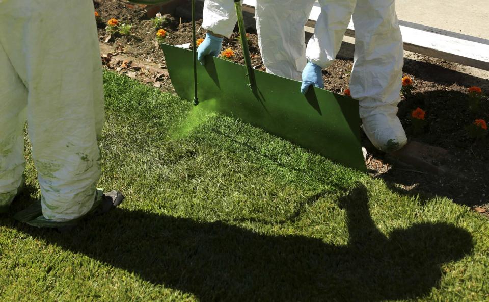 Green Canary workers apply a diluted concentrate of aqueous pigment to the front lawn of a home in San Jose, California July 24, 2014. The company said it uses the coloring application to improve property value, conserve water, and reduce maintenance costs. REUTERS/Robert Galbraith (UNITED STATES - Tags: ENVIRONMENT)