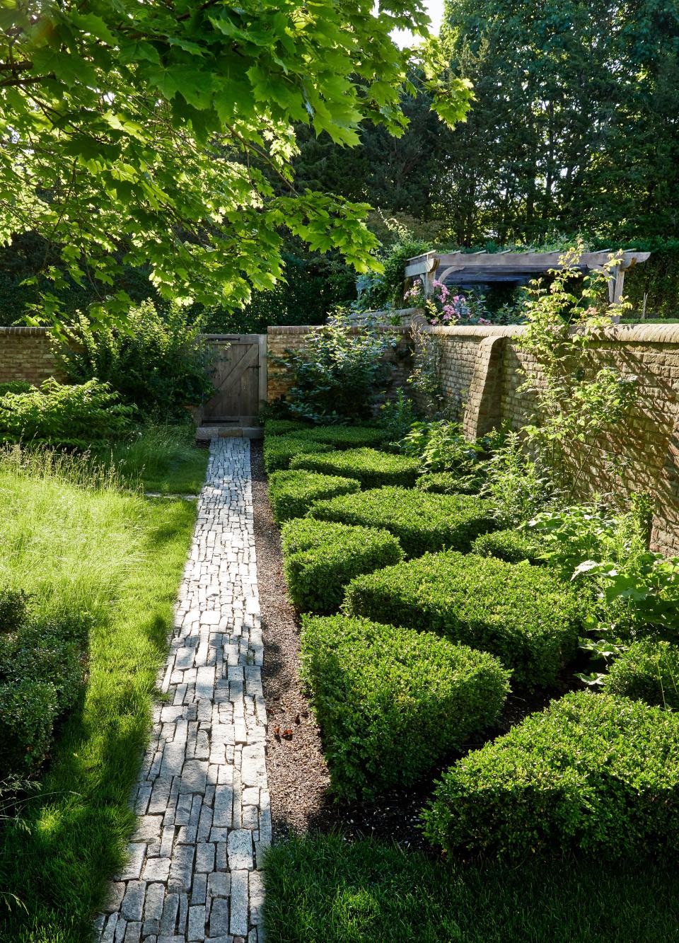 Clipped boxwoods border a garden path.