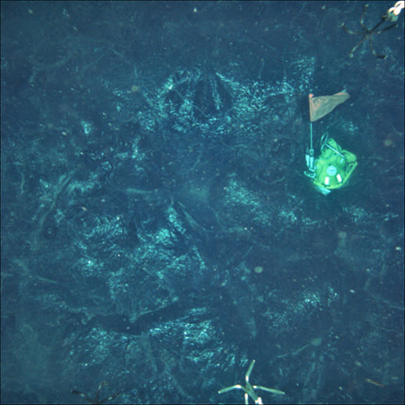 This ocean-bottom seismometer was caught in lava when a volcanic portion of the seafloor erupted as it was collecting a year’s worth of data.