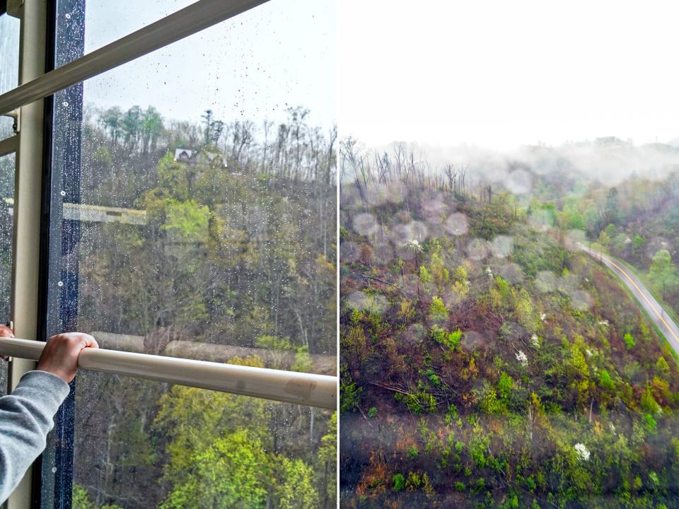 Views of the Great Smoky Mountains from the tram.