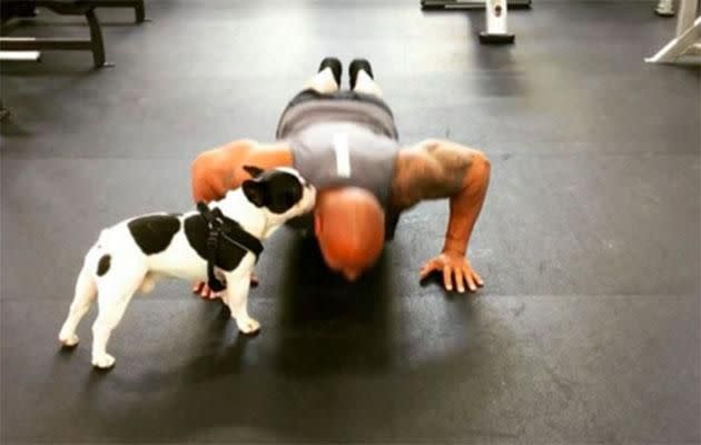 The Rock's dog Hobbs wants some attention. Source: Instagram