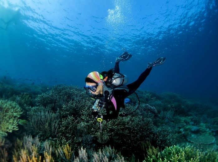 Affordable activity: Indonesia is heaven for divers. Its abundance of dive sites attracts competing dive operators offering competitive pricing.