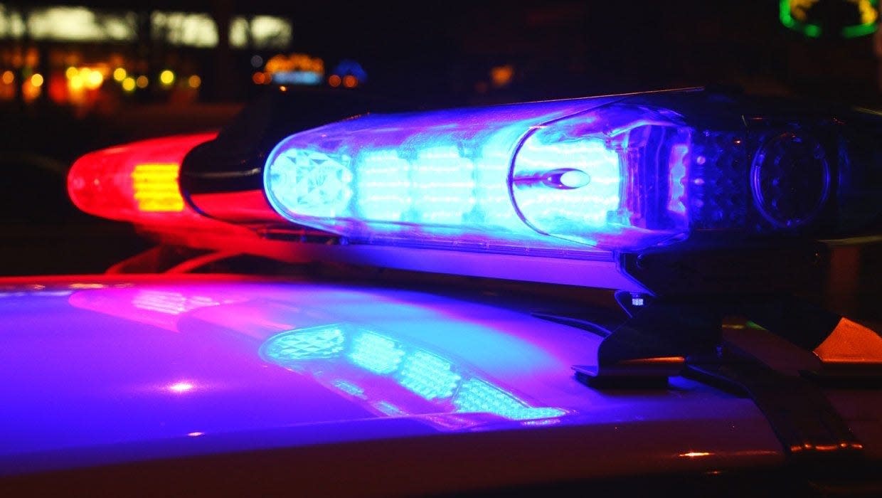 A close-up photo of police lights by night