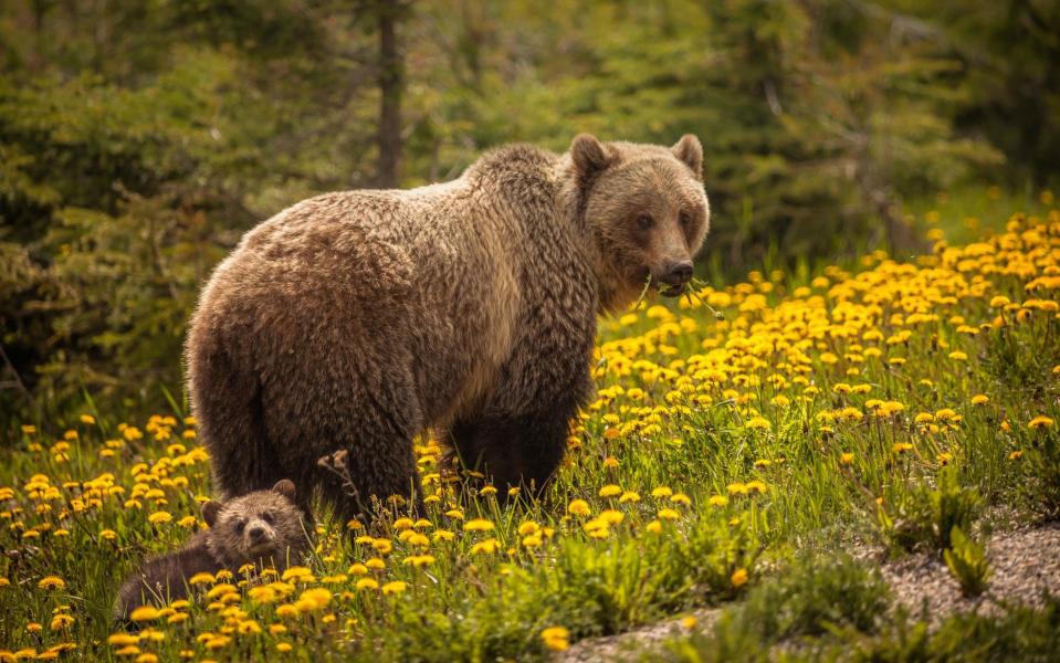 British Columbia