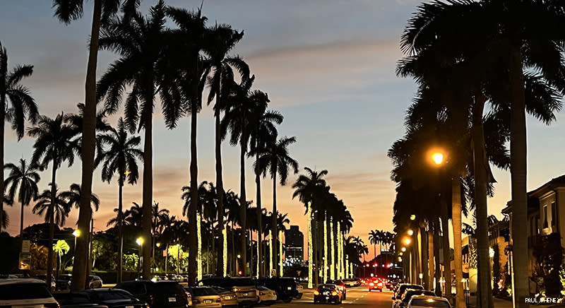 Twilight on Palm Beach Island