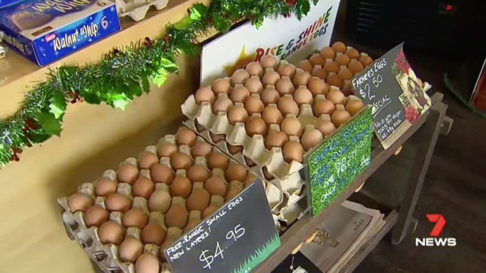 The Leaneys blame an egg shortage several years ago for prompting the current crisis. Source: 7 News