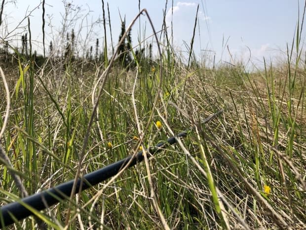 Highways and Public Works Minister Nils Clarke says construction of the Dempster fibre optic line will start this year. Pictured here is a temporary emergency fibre optic cable along Highway 3 in the N.W.T.  (Kate Kyle/CBC - image credit)