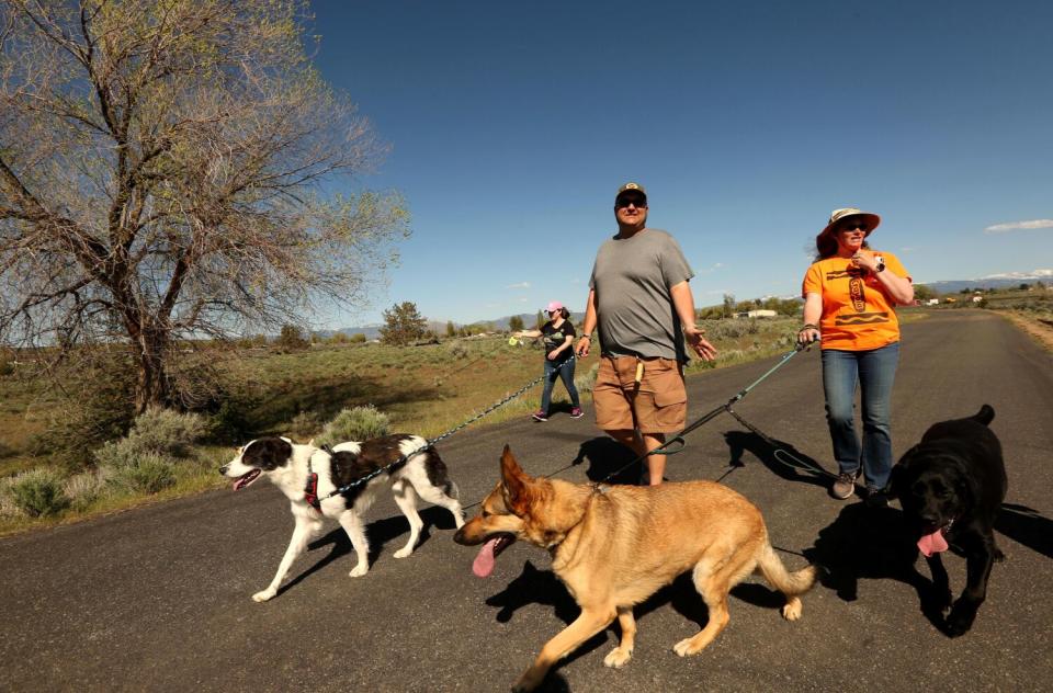 Modoc High School teachers walk their dogs in Alturas.